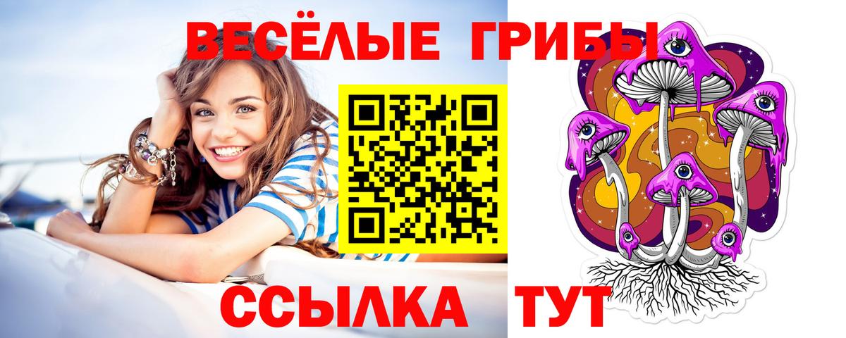 Псилоцибиновые грибы Magic Shrooms  Вход с VPN  Полысаево 